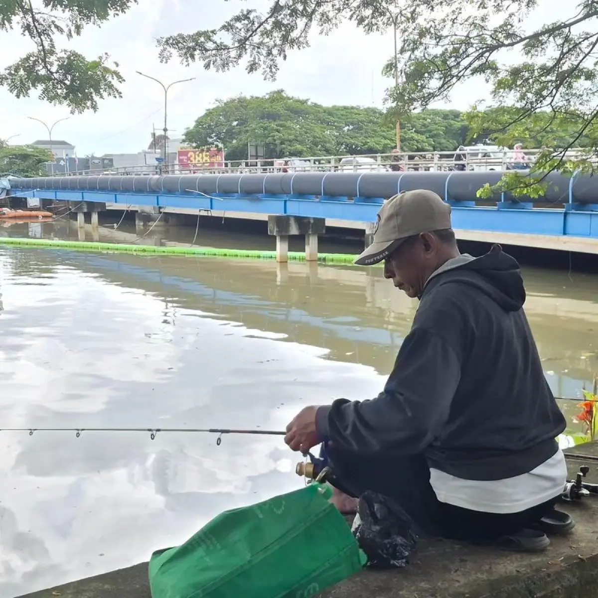 Ancaman Senyap di Ciliwung: Bagaimana Ikan Sapu-Sapu Mengubah Wajah Ekosistem Perairan Jakarta