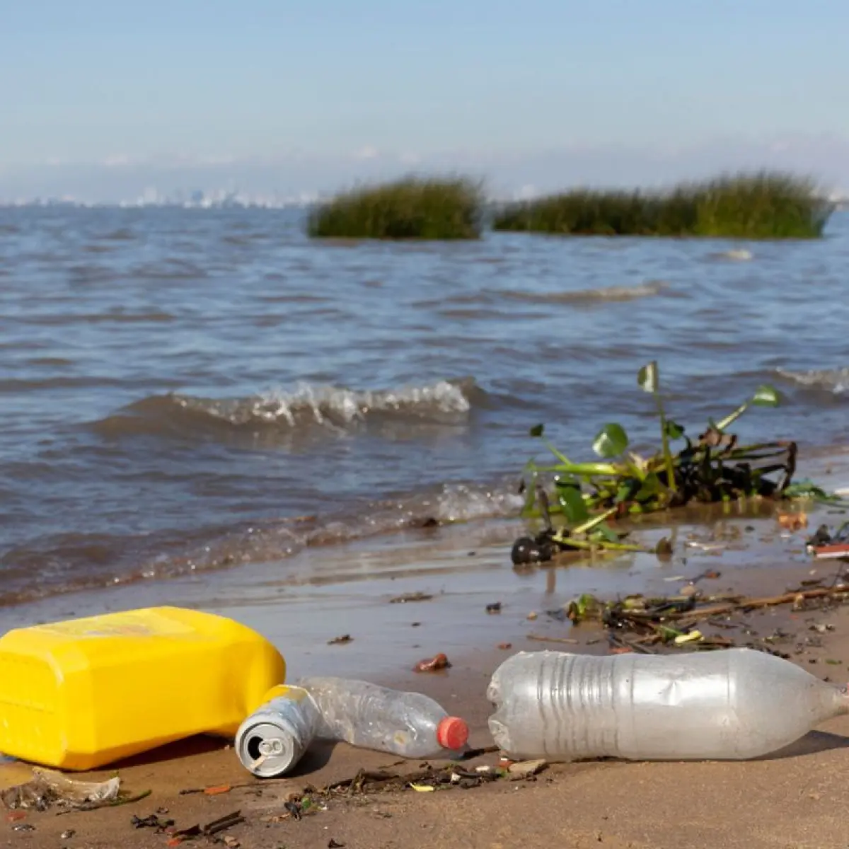 Kemasan Pangan Jadi Biang Keladi Polusi Sampah Laut Global, Mendesak Aksi Mitigasi dari Sumbernya