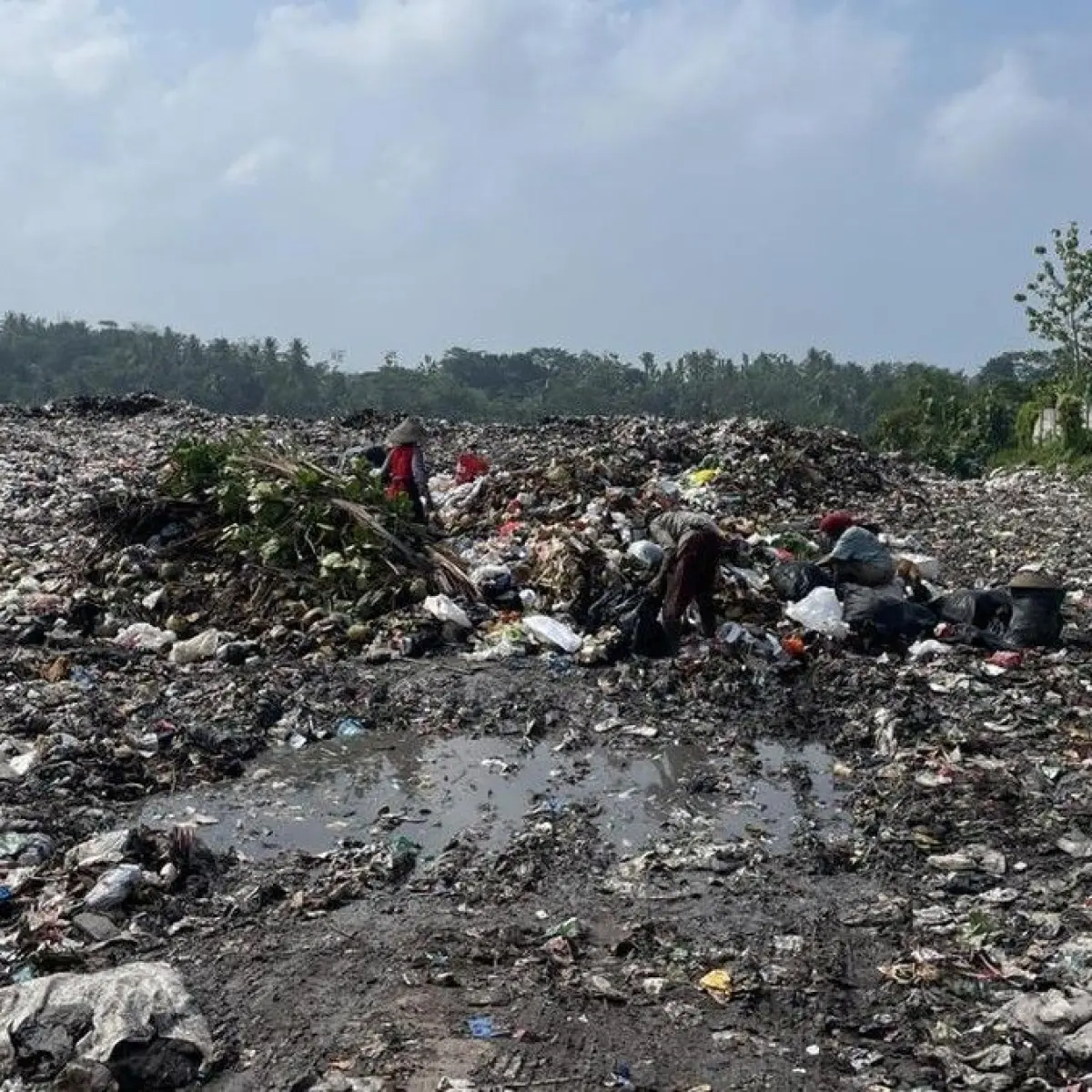 TPA Purbahayu Pangandaran Terancam Cemaran Limbah Medis: Mendesak Transisi Pengelolaan Sampah Terkontrol