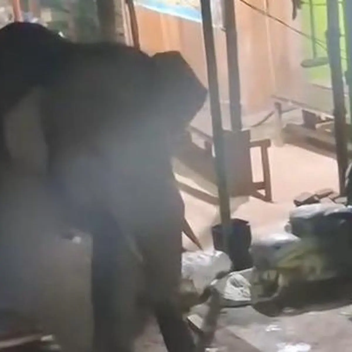 Geger! Dua Gajah Jantan Terlihat Santai Berjalan di Tengah Pasar Tradisional Ogan Komering Ilir