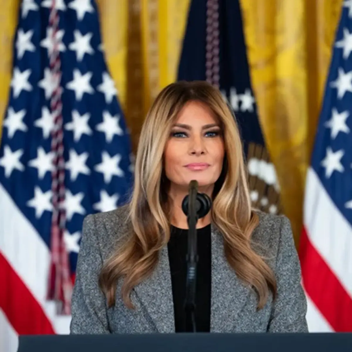 Keputusan Hakim Federal: Gugatan Pencegahan Melania Trump Terhadap Michael Wolff Ditolak