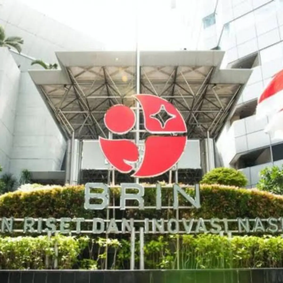 BRIN Ungkap Keajaiban Botani: 29 Spesies Tumbuhan Baru Menambah Kekayaan Flora Nusantara