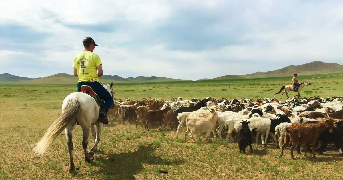 Analisis Kolaborasi Pemprov DKI dan Mongolia: Membuka 8.000 Peluang Kerja Luar Negeri Bagi Warga Jakarta