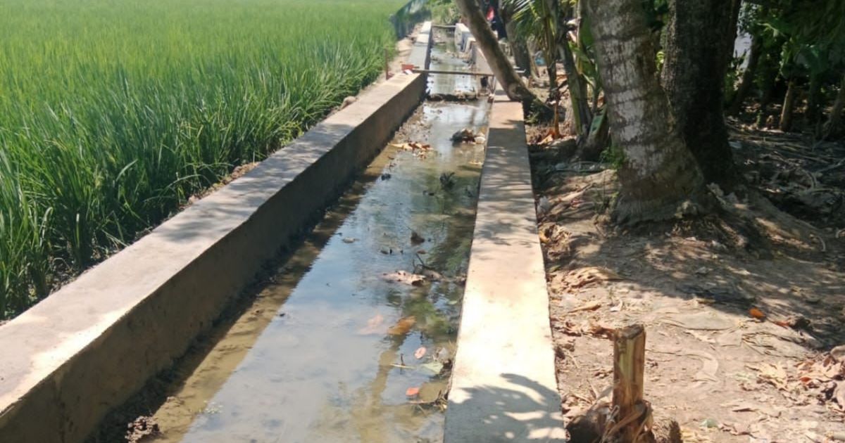 Petani di kecamatan Tambakdahan Sumringah Mendapatkan Bantuan Rehabilitasi Saluran irigasi Tuntas di Bangun