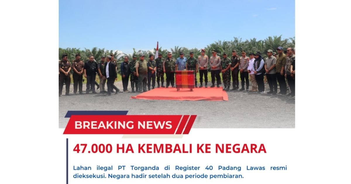 Pemerintah Rebut 3,4 Juta Hektare Hutan Ilegal, Prabowo Tegaskan Perang terhadap Koruptor Hutan