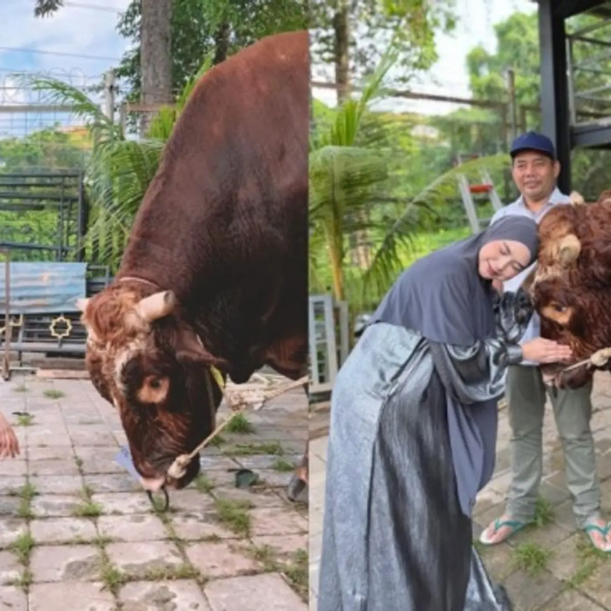 Momen Penuh Makna: Ria Ricis Ikut Saksikan Langsung Prosesi Kurban Hari Raya Iduladha