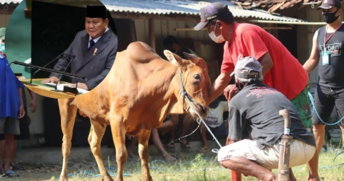 Persiapan Idul Adha 2026: Pemerintah Alokasikan Rp100 Miliar untuk Pengadaan 1.098 Hewan Kurban Presiden