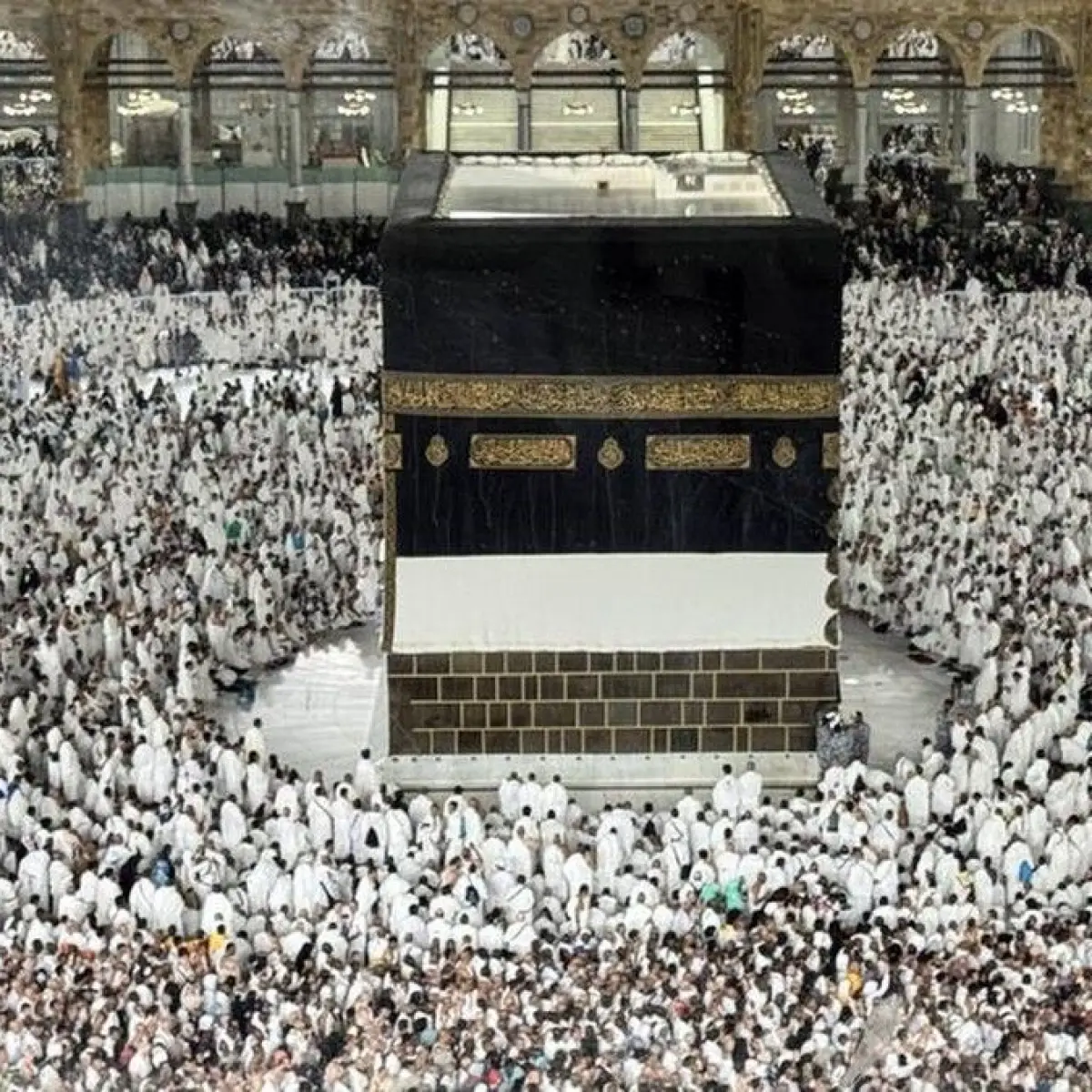 Kesehatan Jemaah Haji 2026 Terjamin, Kemenkes Arab Saudi Pastikan Sistem Medis Berjalan Efisien