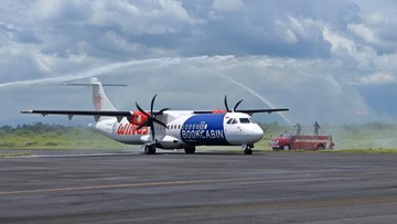 Fakta di Balik Viralitas 'Cable Tie' pada Baling-Baling Pesawat Wings Air, Maskapai Beri Penjelasan Resmi