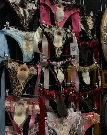 Kontroversi Dunia Mode: Butik Australia Luncurkan Lingerie dengan Ornamen Hewan Awetan yang Mengejutkan