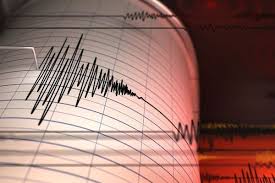 Guncangan Pagi Gorontalo: Analisis Detail Gempa Magnitudo 5,4 di Teluk Tomini dan Respons Warga