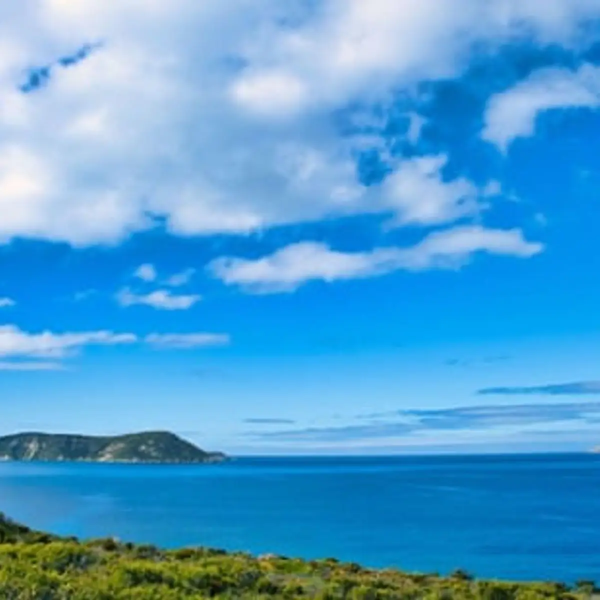 Fatal Shark Attack Claims Life of 35-Year-Old Diver Near Western Australia's Michaelmas Island