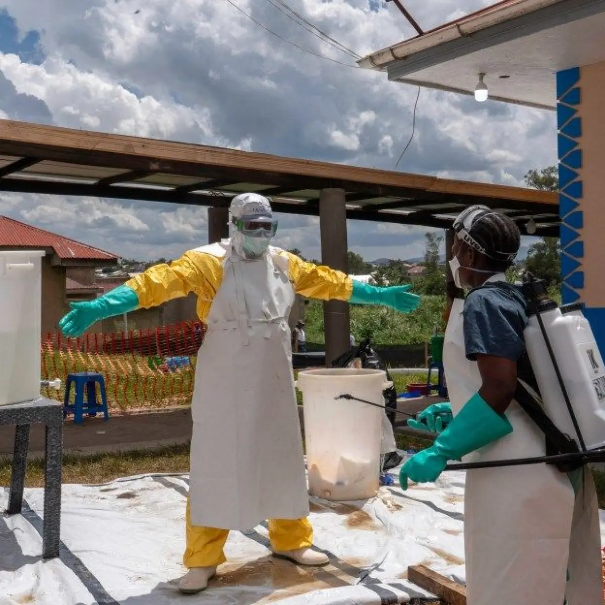 Lessons from Ebola and Hantavirus: Why Tracing Disease Origins is Crucial for Global Health Security