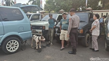 Tragedi di Bogor: Bocah 9 Tahun Tewas Setelah Diserang Anjing Pemburu Babi Hutan Saat Memancing