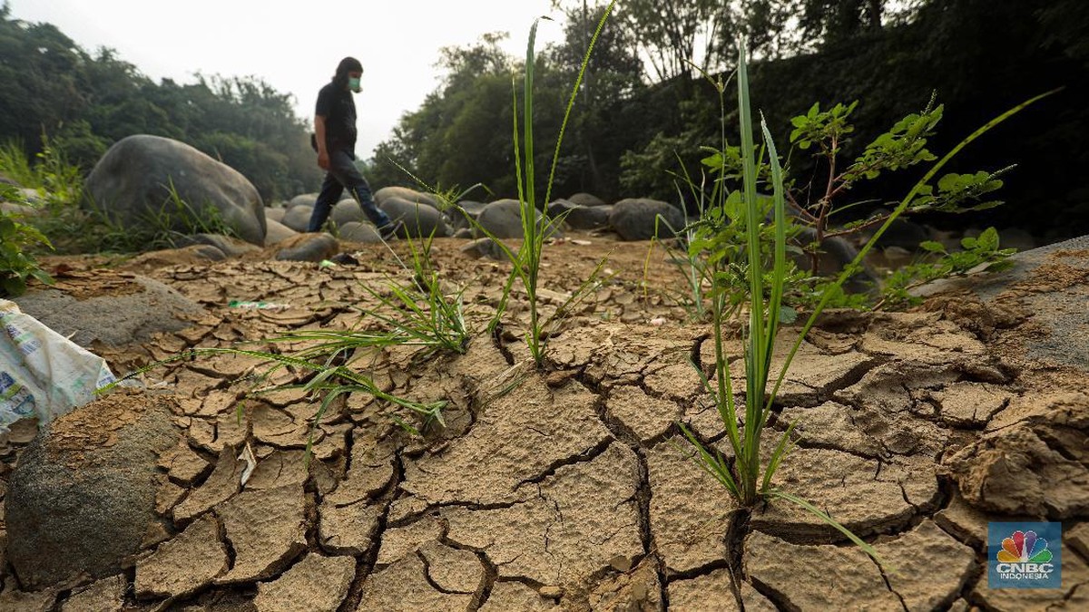 Proyeksi BMKG: Waspada Kekeringan Ekstrem 2026, Mitigasi Multisector Jadi Kunci Hadapi Dampak El Nino