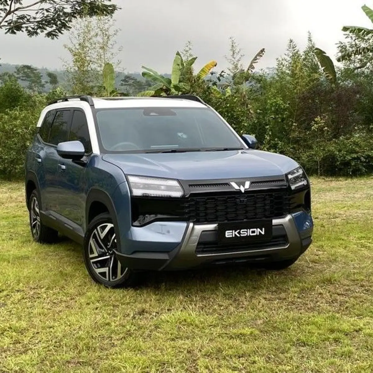Indonesia’s PHEV Wholesale Sales Dip 10% in May 2026, Despite Strong Annual Growth Trajectory