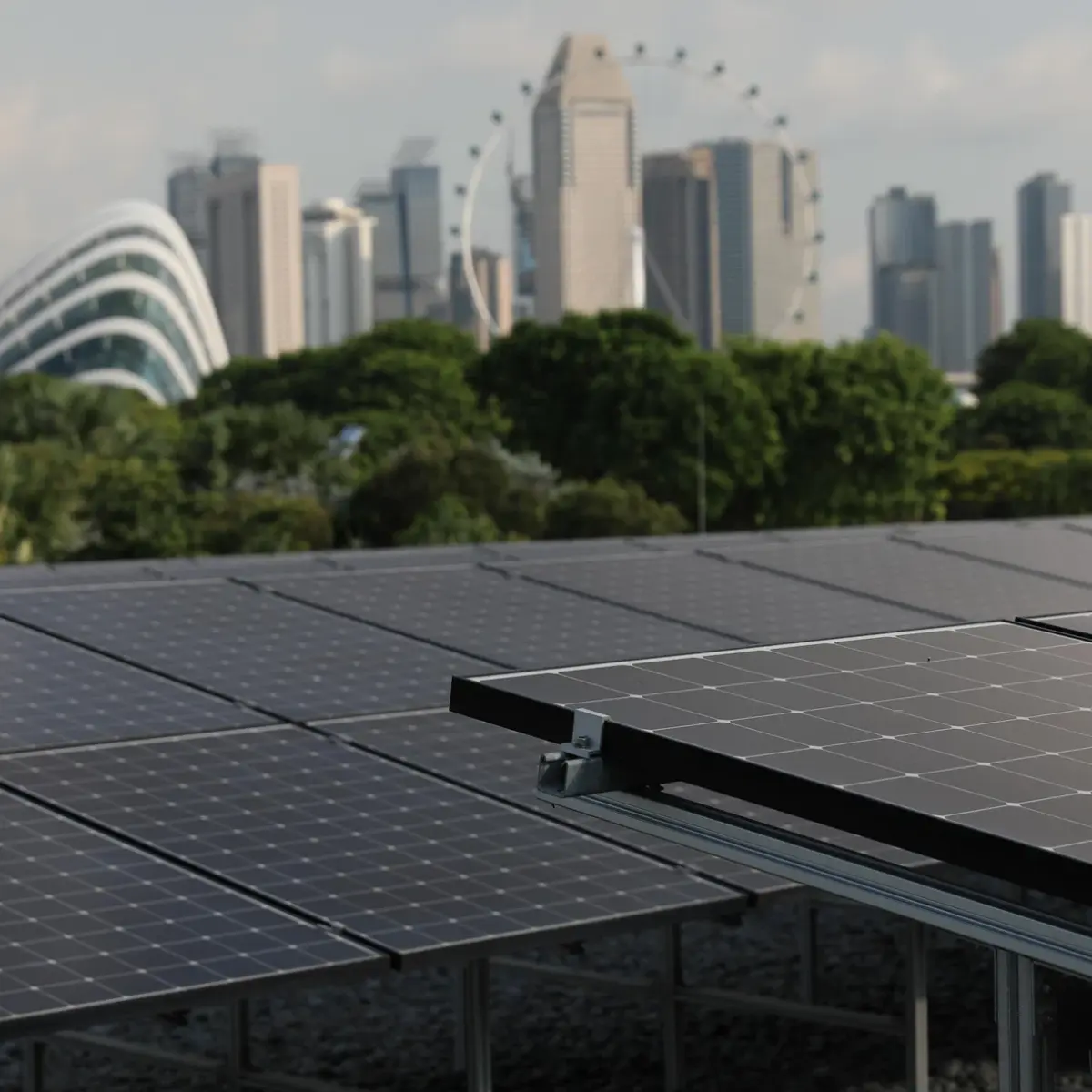 Global Green Economy Hits Historic $10 Trillion Valuation Amidst Geopolitical Headwinds