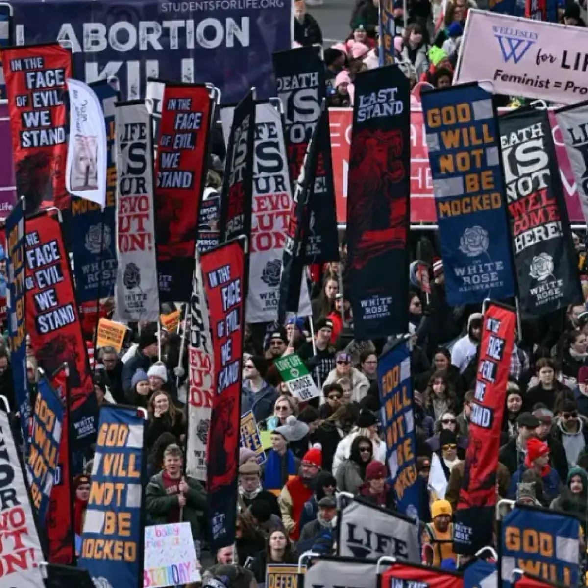 US Abortion Stance Deepens Divide: Gallup Poll Reveals Sharply Diverging Partisan Views