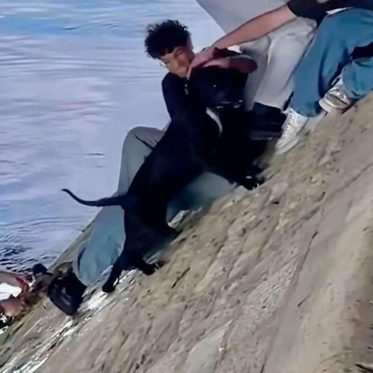 Spontaneous Parisian Bystanders Execute Dramatic Rescue of Dog Trapped in Seine River
