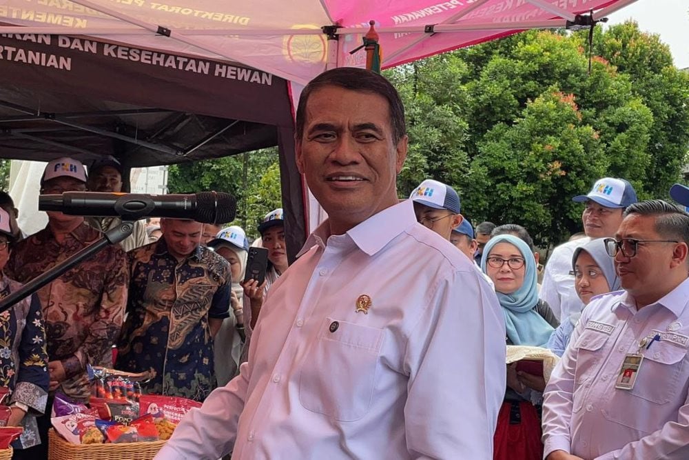 Pemerintah Pastikan Stok Pangan Nasional Aman dari Ancaman Kekeringan Akibat El Nino "Godzilla"
