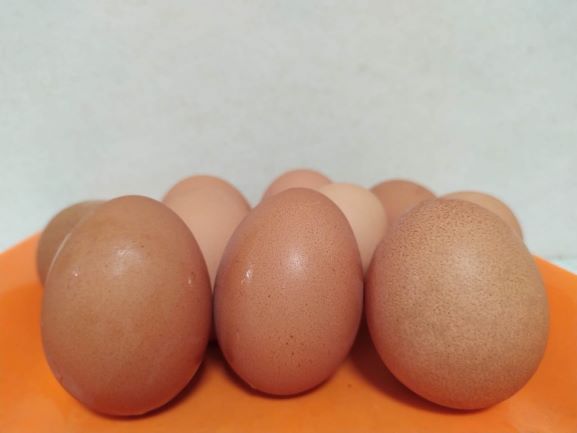 Mengapa Telur Ayam Jumbo Lebih Murah? Analisis Pakar IPB Mengurai Teka-Teki Harga di Pasar