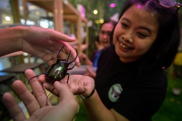 Menguak Dunia Mikro: Pameran 'House of Bugs' Hadir di Jakarta Ajak Warga Sadar Peran Vital Serangga