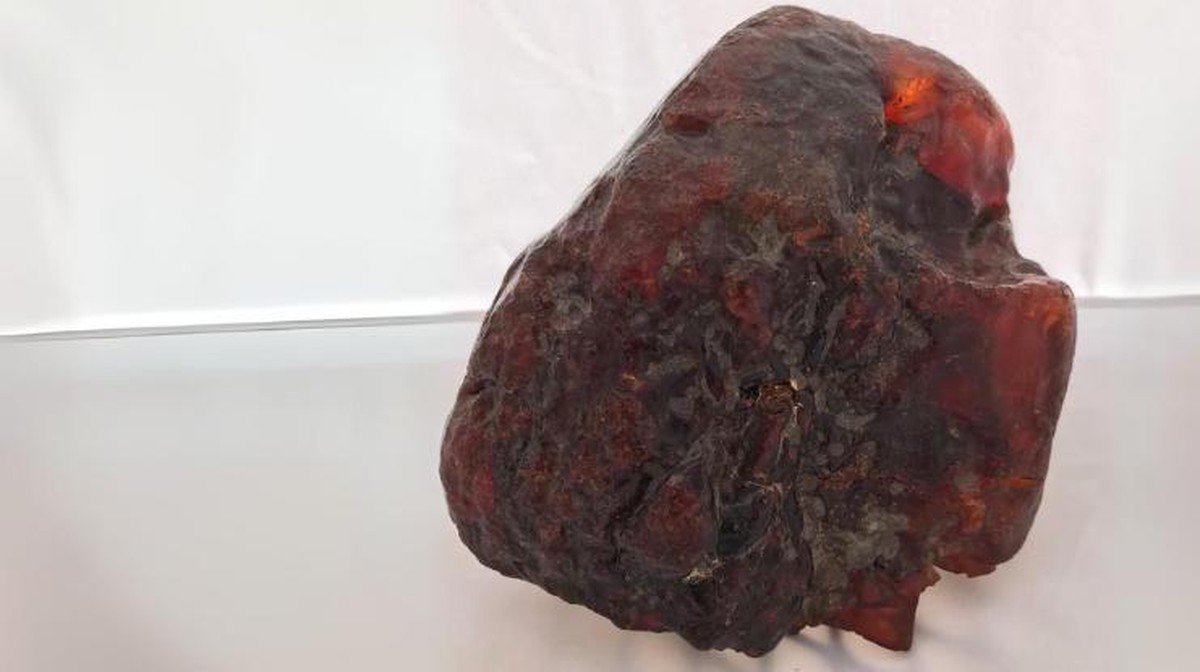 Ganjalan Pintu Berusia Jutaan Tahun Terkuak, Rumania Punya Fosil Amber Raksasa