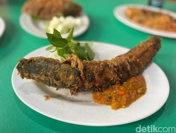 Sensasi Rasa Anti-Bokek: Tujuh Rekomendasi Warung Pecel Lele Legendaris Jakarta Saat Dompet Menipis