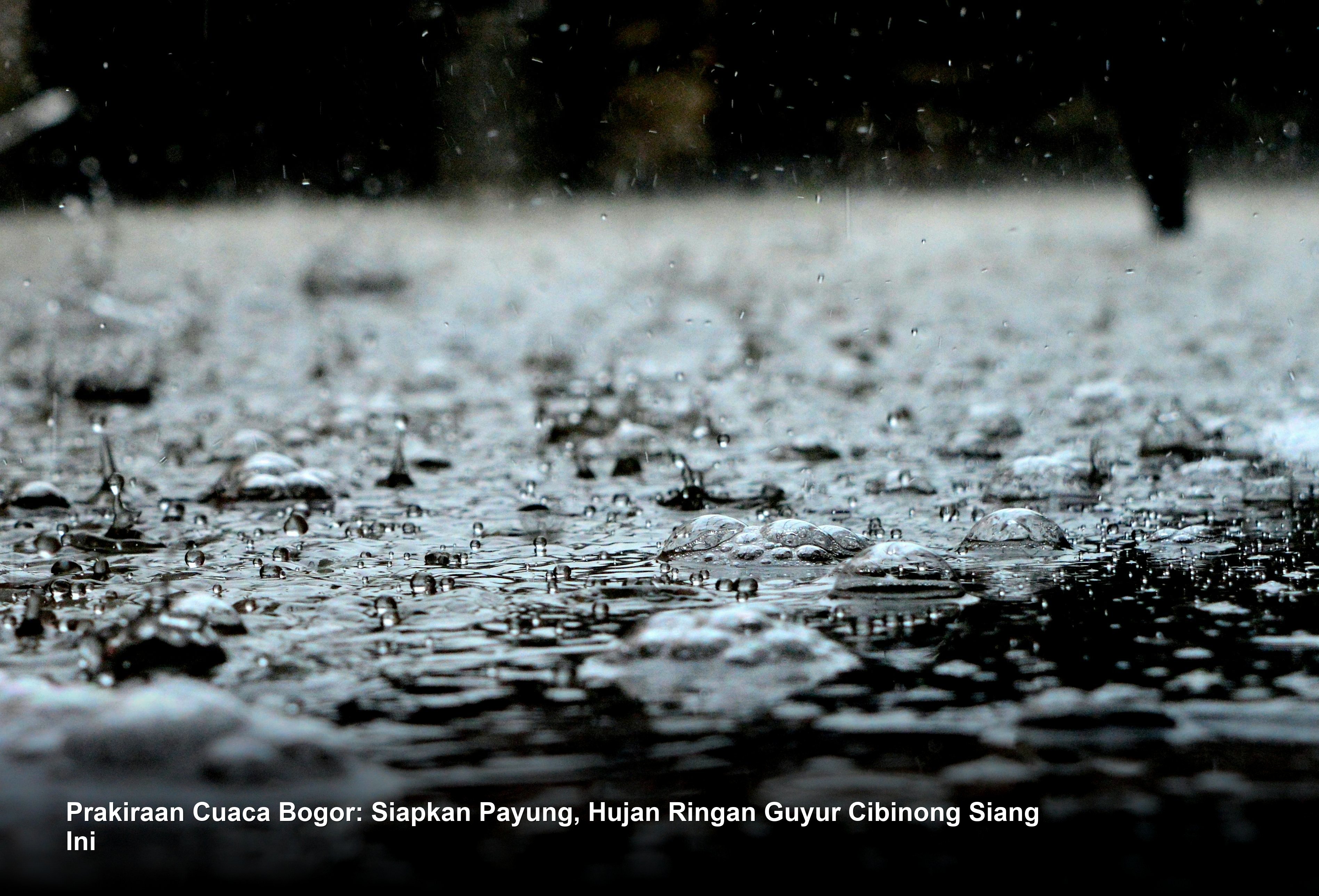 Prakiraan Cuaca Bogor: Siapkan Payung, Hujan Ringan Guyur Cibinong Siang Ini