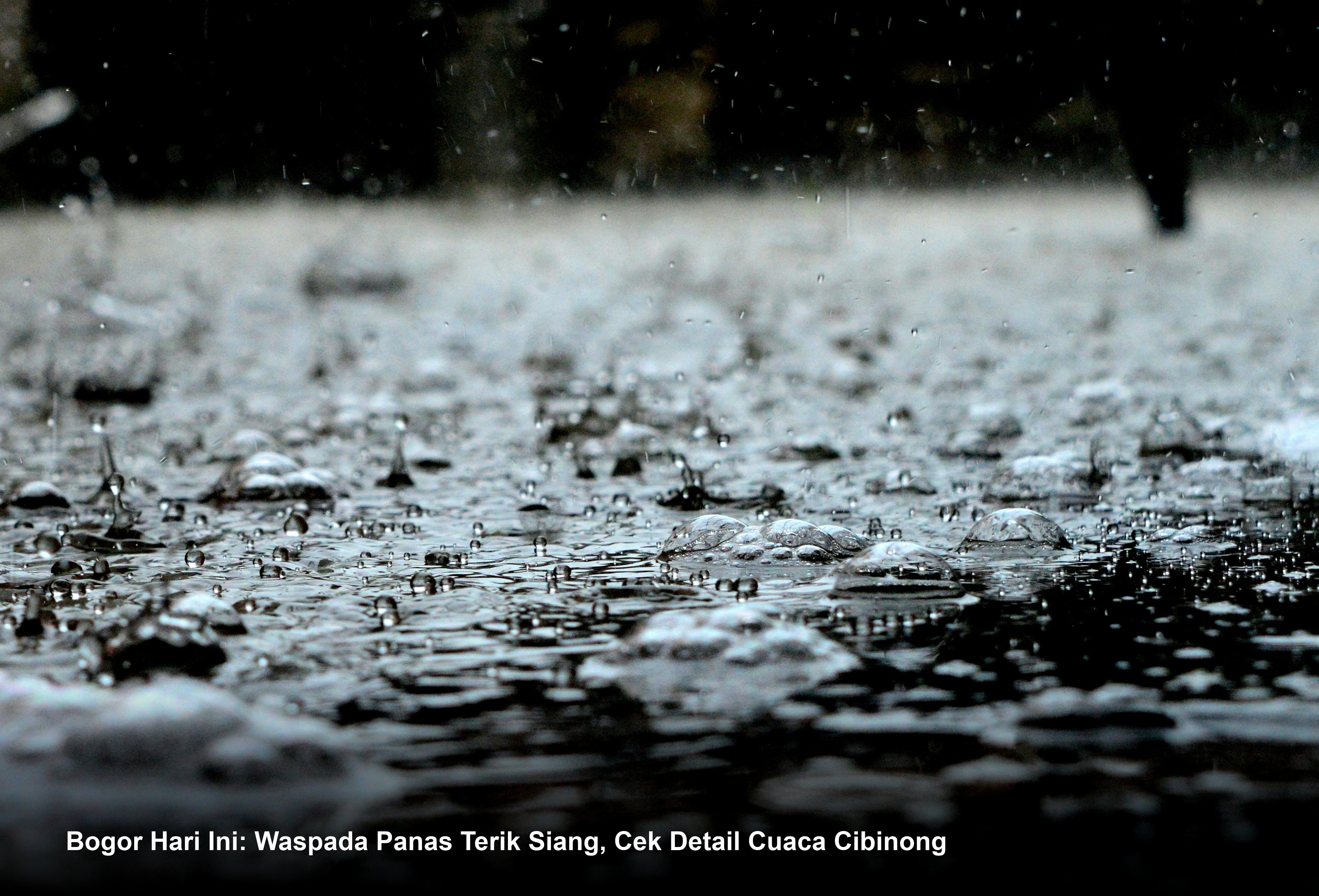 Bogor Hari Ini: Waspada Panas Terik Siang, Cek Detail Cuaca Cibinong