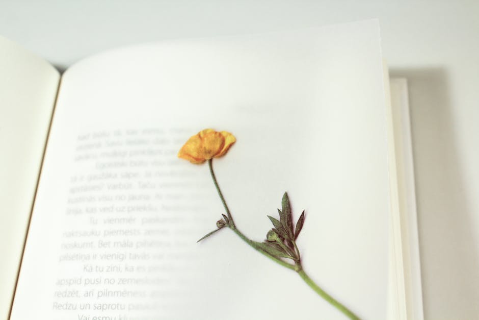 Bekas Luka yang Mengukir Kedewasaan: Sebuah Novel Kehidupan